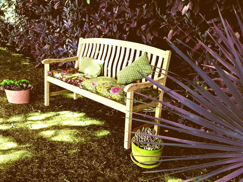 B&B Vigna Rosa Trevignano Romano Εξωτερικό φωτογραφία