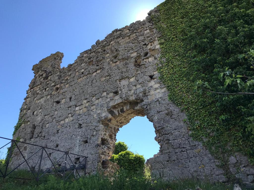 B&B Vigna Rosa Trevignano Romano Εξωτερικό φωτογραφία