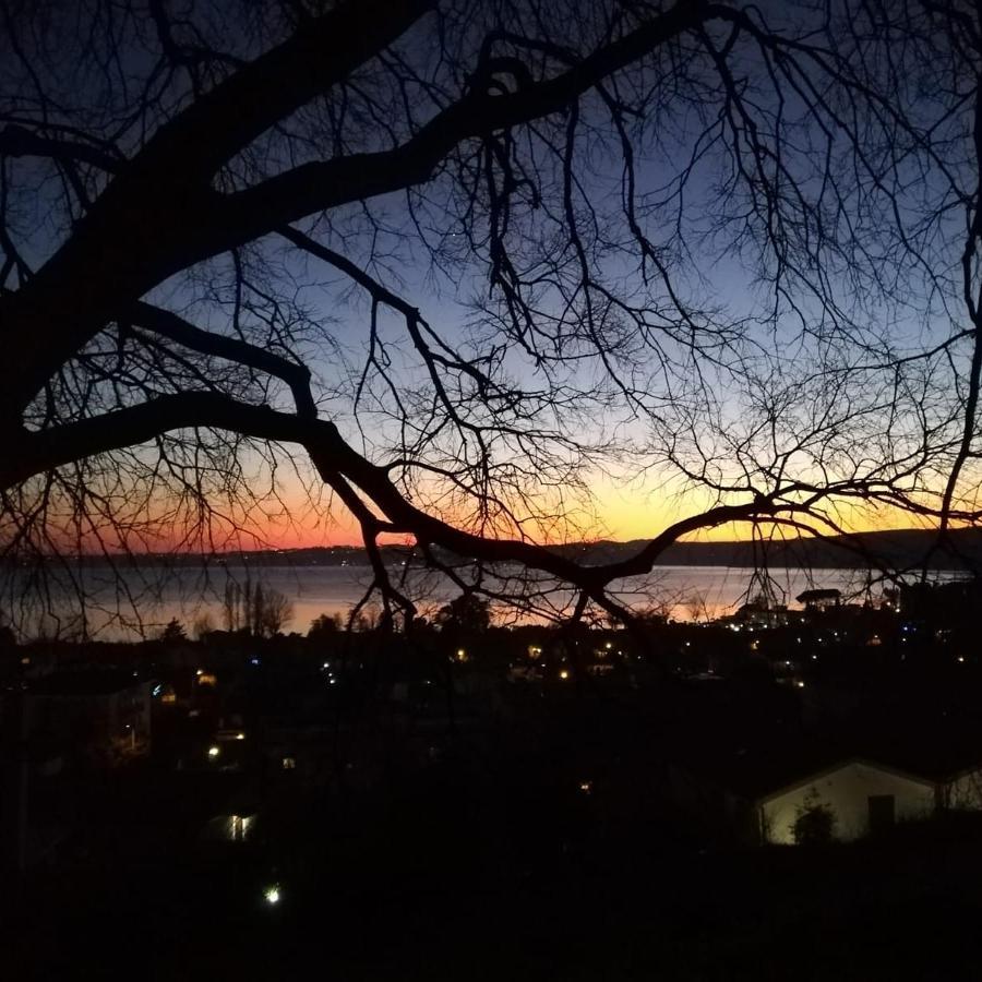 B&B Vigna Rosa Trevignano Romano Εξωτερικό φωτογραφία